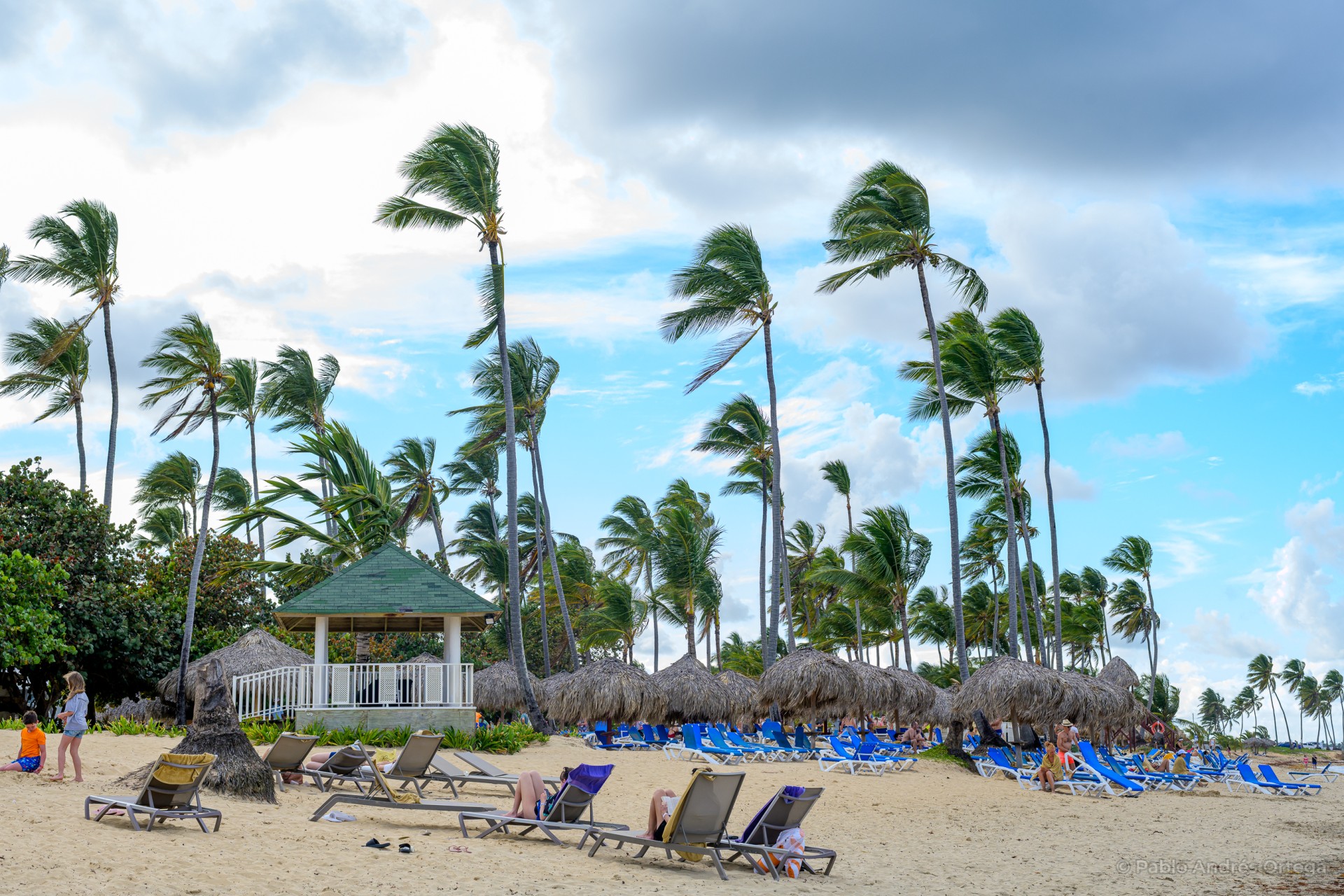 play-uvero-alto-7-vacaciones-hotel-grand-sirenis-punta-cana.jpg Playa de arena dorada con sillas de bronceo y quioscos y palmeras movidas por el viento de fondo
