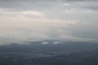 Pereira