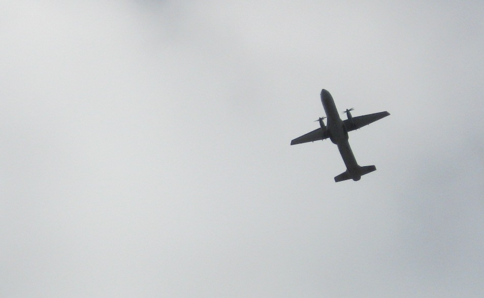 C-295 - Eduardo Escovar