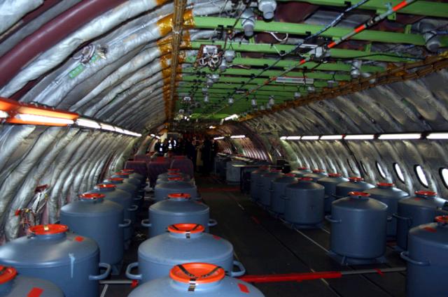 los solos pasajeros en este avión