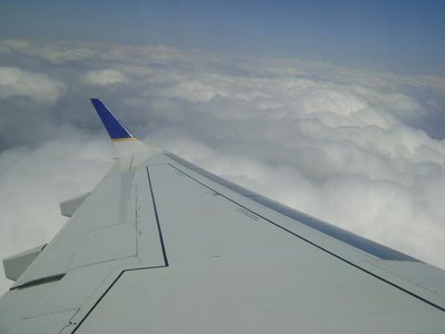 vista del winglet