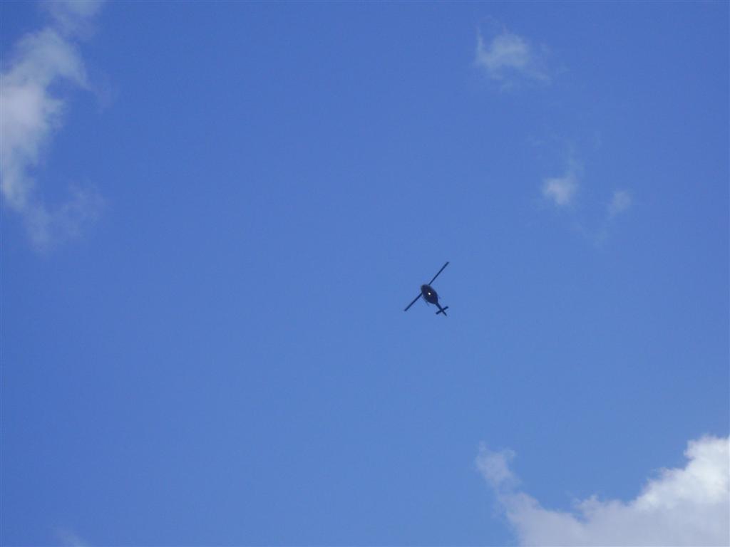 DSC01822 (Grande).JPG