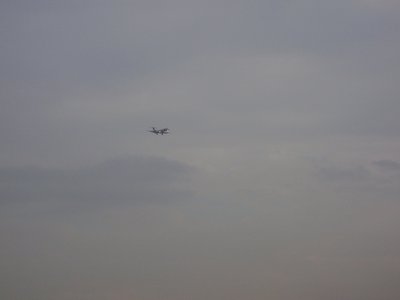 DSC01829.JPG