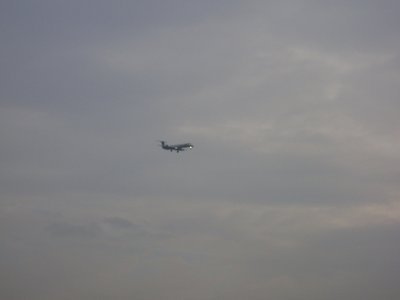 DSC01830.JPG
