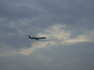 DSC01831.JPG