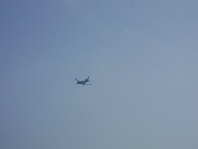 DSC01872.JPG