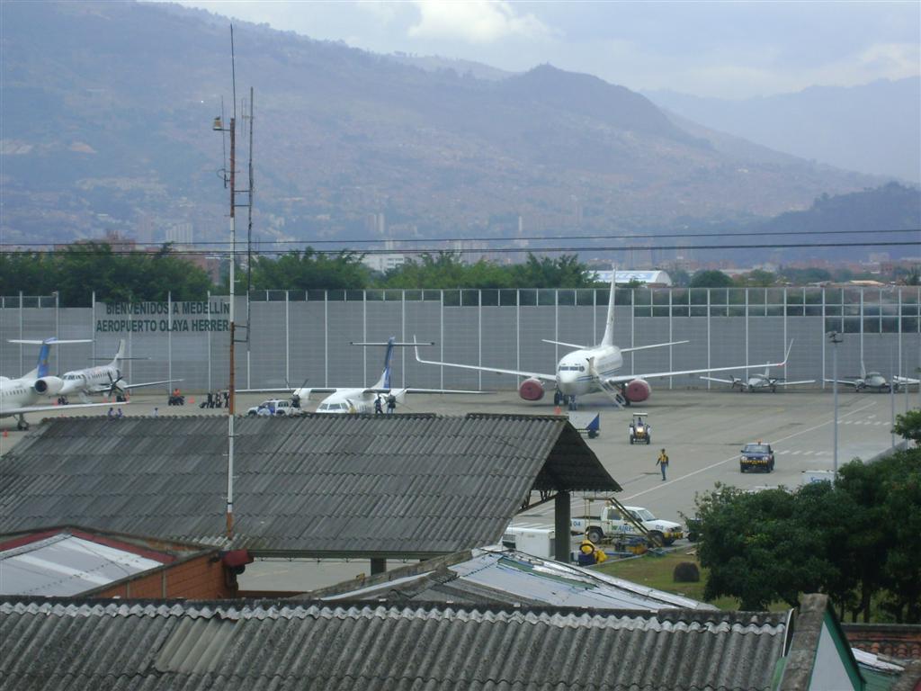 DSC02058 (Grande).JPG