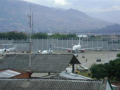 DSC02058 (Grande).JPG