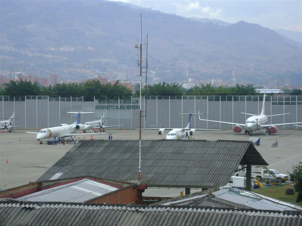 DSC02076 (Grande).JPG