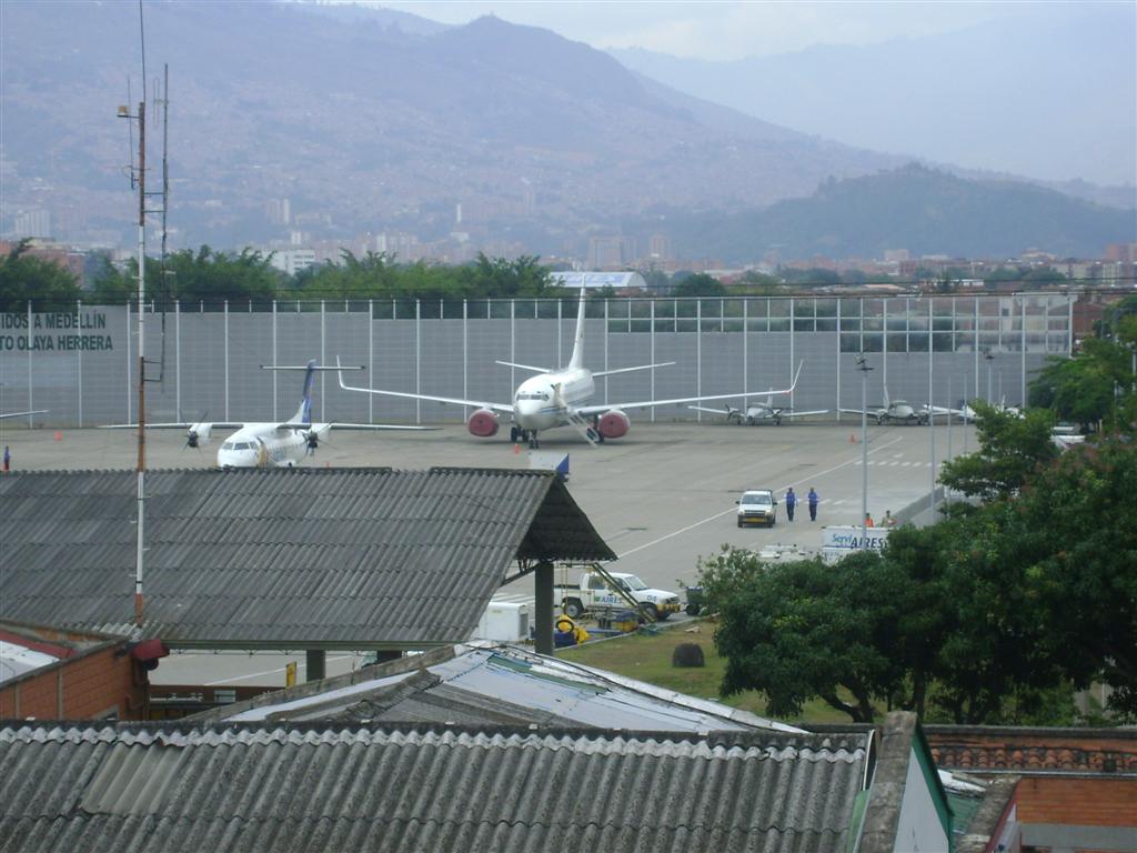 DSC02081 (Grande).JPG