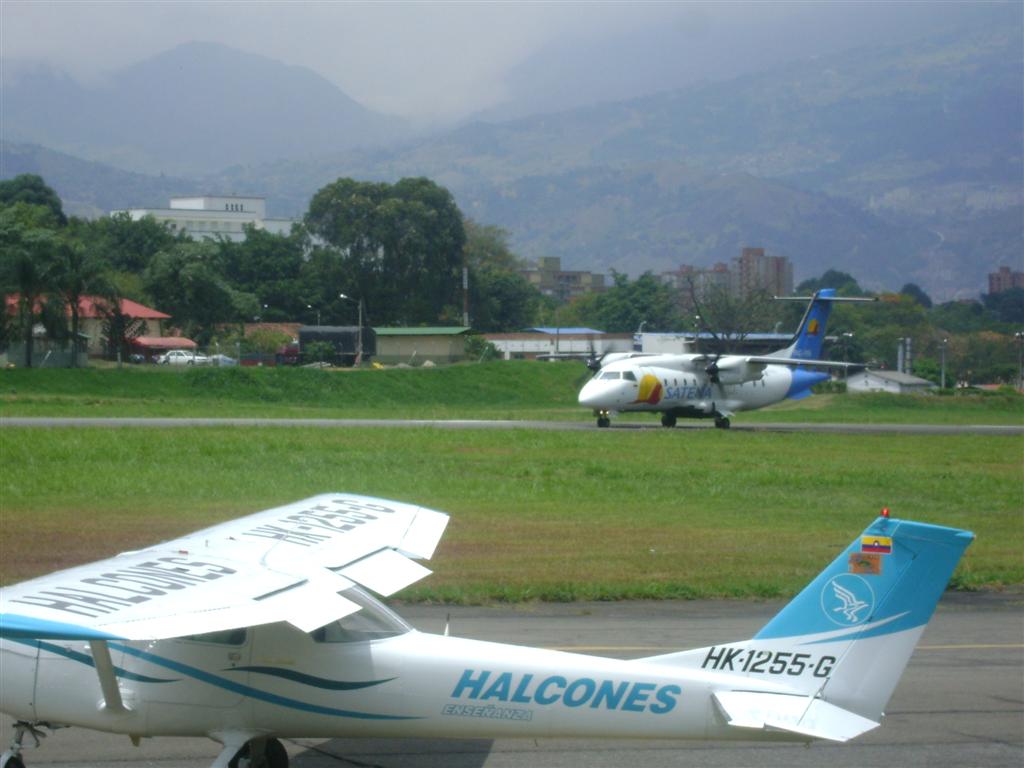 DSC02096 (Grande).JPG