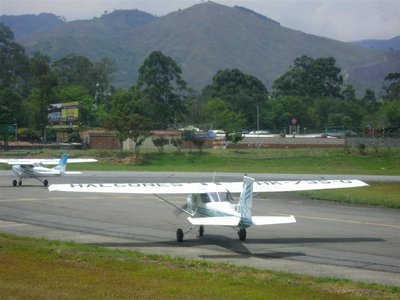 DSC02101 (Grande).JPG