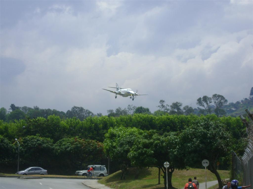 DSC02103 (Grande).JPG