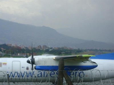 DSC02108 (Grande).JPG