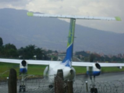 DSC02109 (Grande).JPG