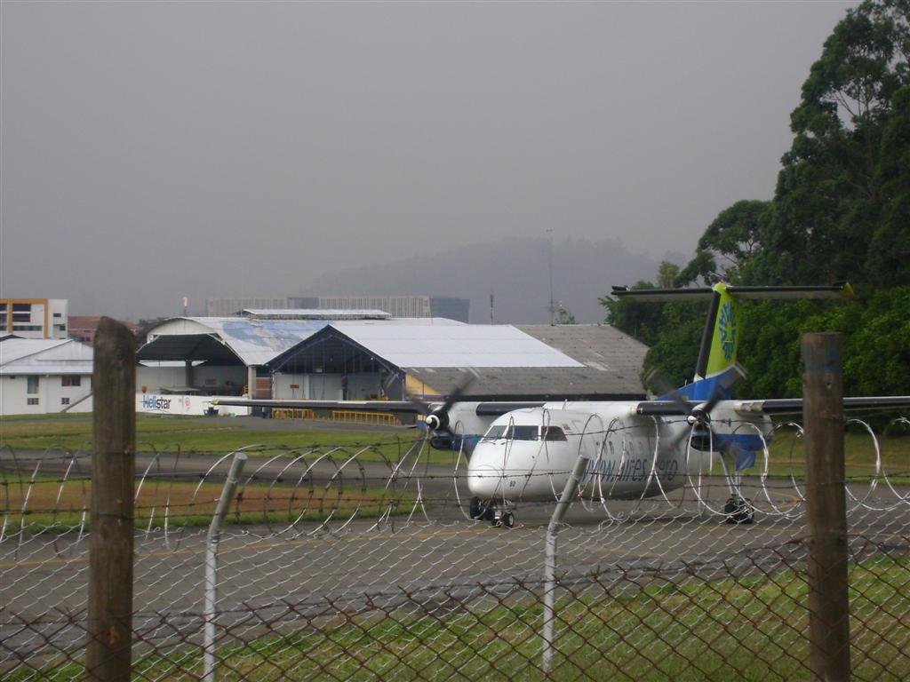 DSC02114 (Grande).JPG