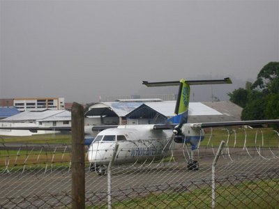 DSC02115 (Grande).JPG
