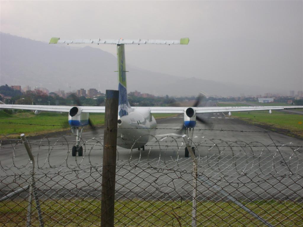 DSC02119 (Grande).JPG