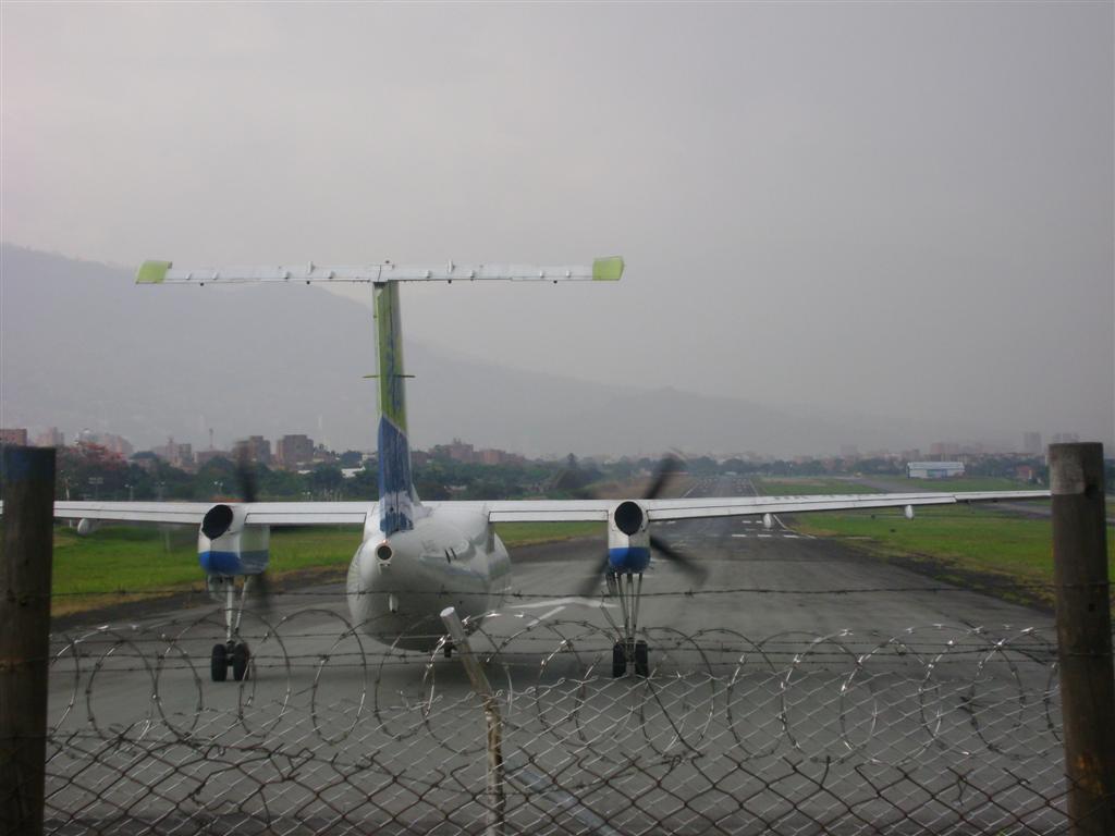 DSC02121 (Grande).JPG