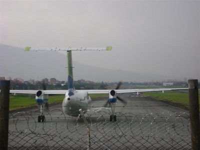 DSC02121 (Grande).JPG