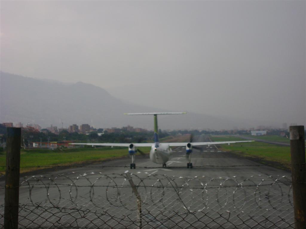 DSC02123 (Grande).JPG