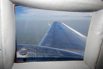 La ventana, el motor, el ala y la selva