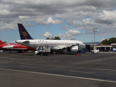 taca A320 parrot jungle livery