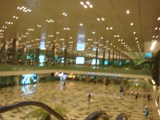 Inmigracion en Changi Airport borrosa...