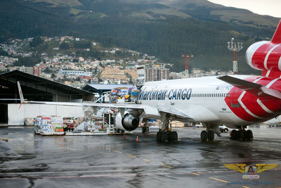 Carga Martinair