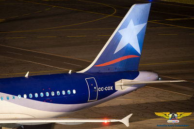 Empenaje y Winglet CC-COX