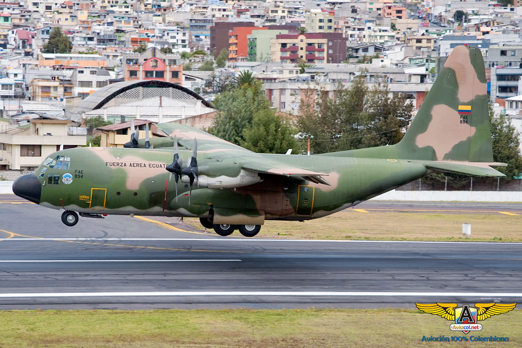 C-130 Hércules FAE894