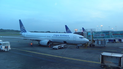 P3220136.JPG