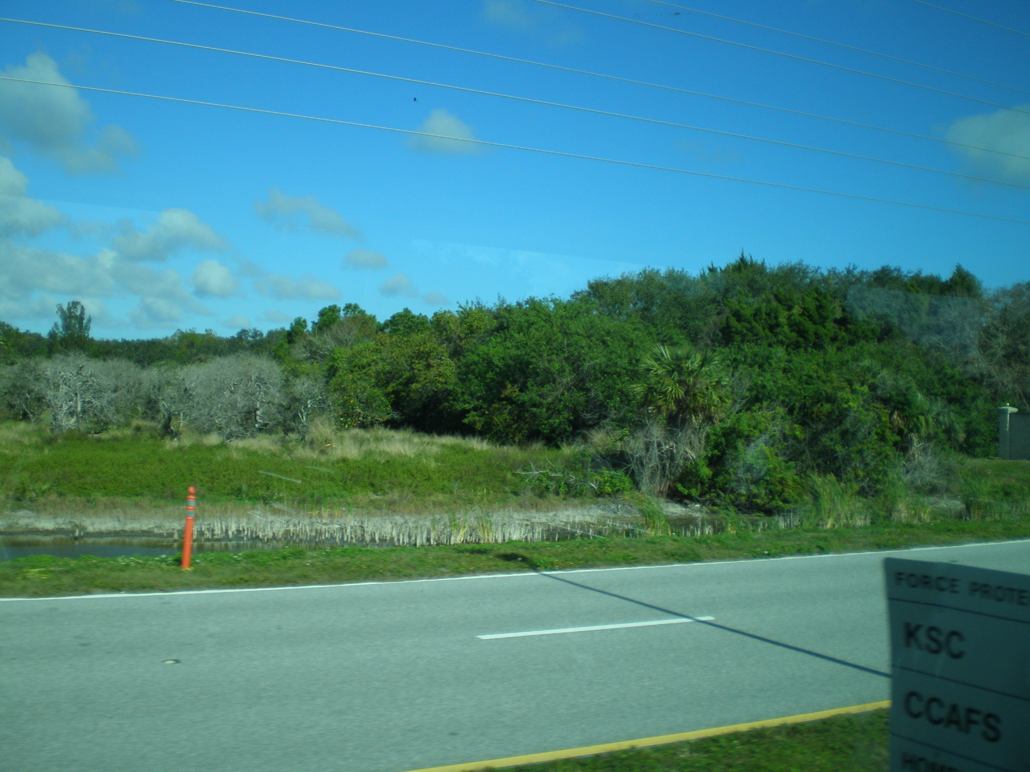 Si ven el lagarto? los &quot;Nasa&quot; se sienten orgullosos de proteger la fauna y la flora del lugar.