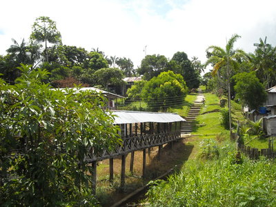 PUERTO NARIÑO