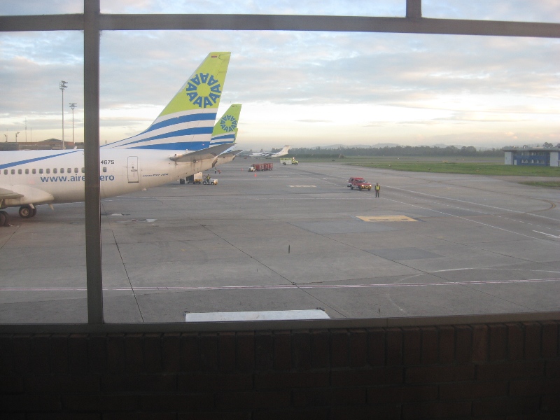 Puras colas verdes y el ruso