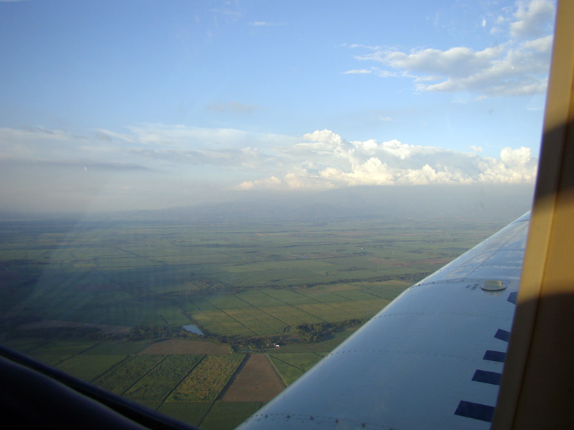 Piper Arrow Valle del Cauca