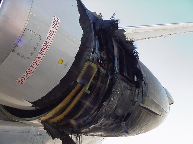 birdstrike1lg[1].jpg