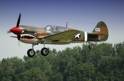 Curtiss_P-40_Warhawk_airshow.jpg