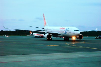 P1050226a.jpg