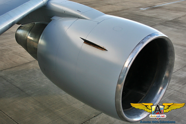 Foto: Javier Franco TOPPER