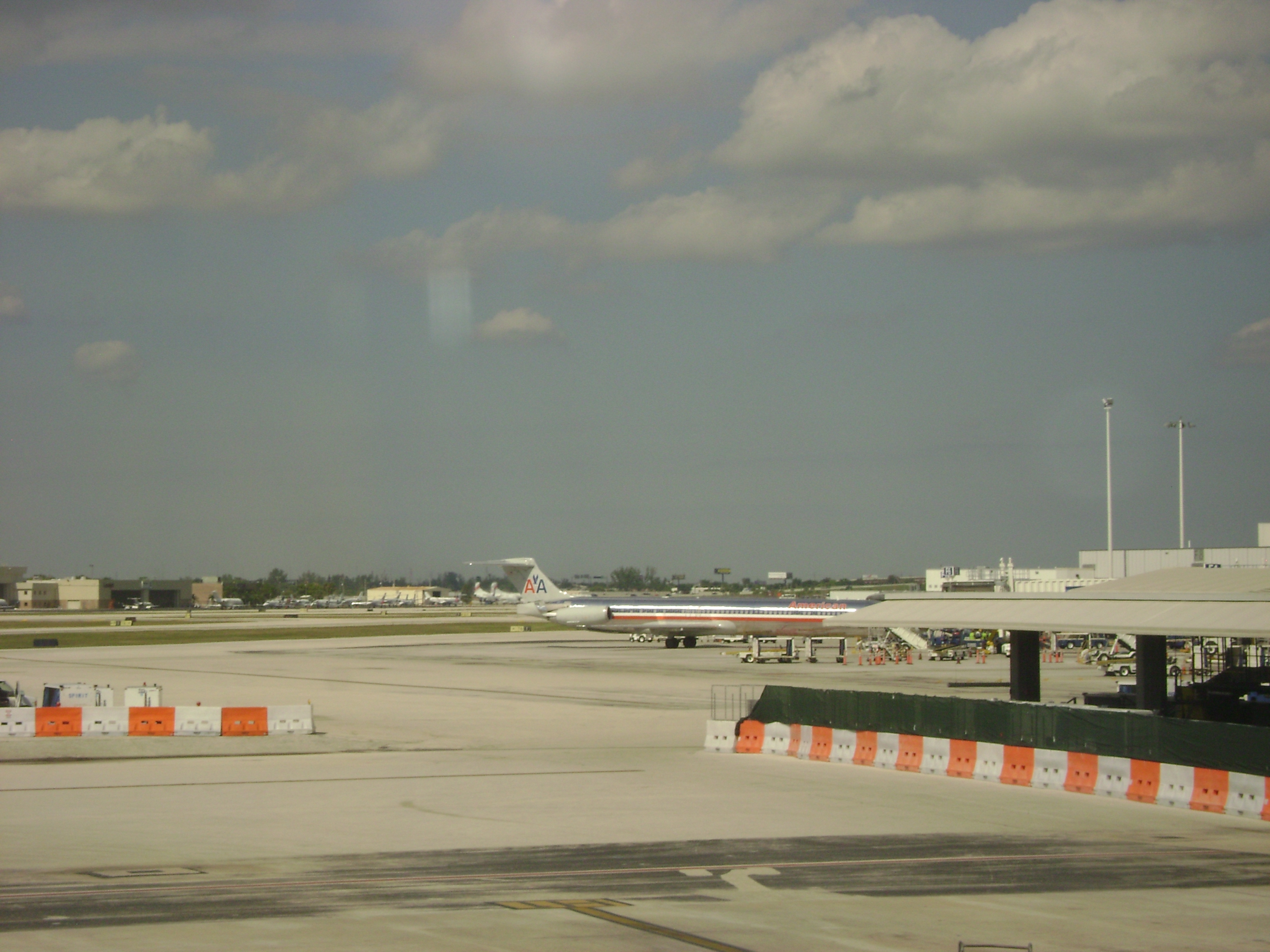 En otra terminal se encontraba este no tan joven, pero excelente pajaro