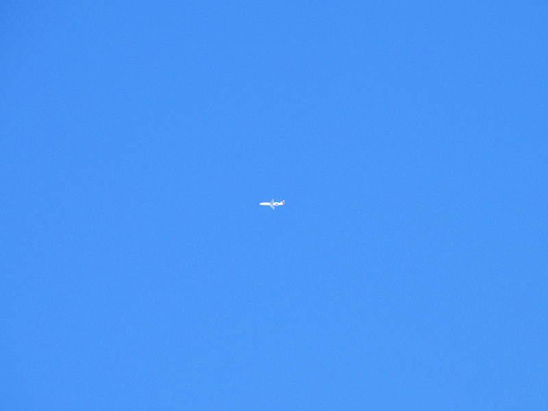 F100 de AV en la 5ta porra...