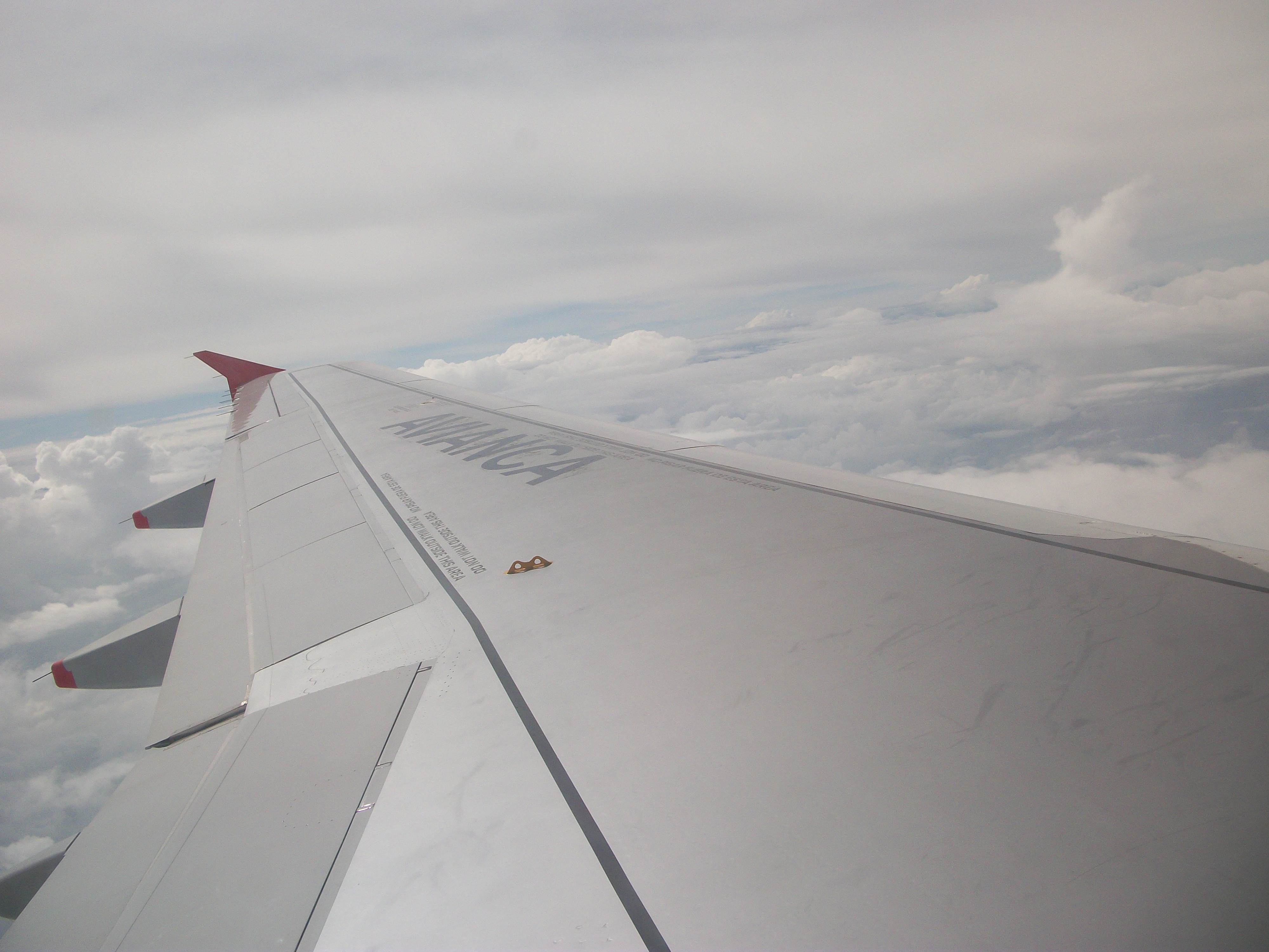 VOLANDO EN EL BABYBUS........ DELICIOSO