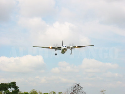 AVA AVO F50 004.jpg