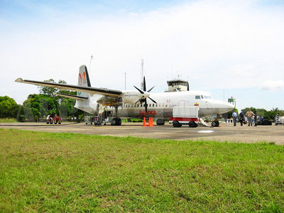 AVA MXZ F50 026.jpg