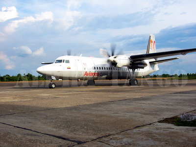 AVA MXZ F50 029.jpg