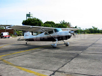 HK 336 01.jpg
