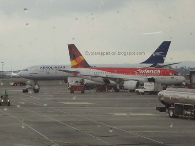 Aerolíneas Argentinas, A340-200, LV-ZPO y Avianca A319, N691AV