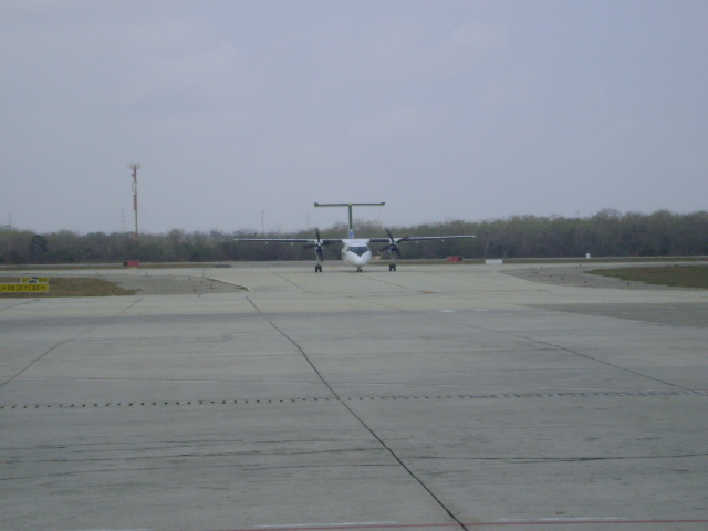 DSC01208.JPG