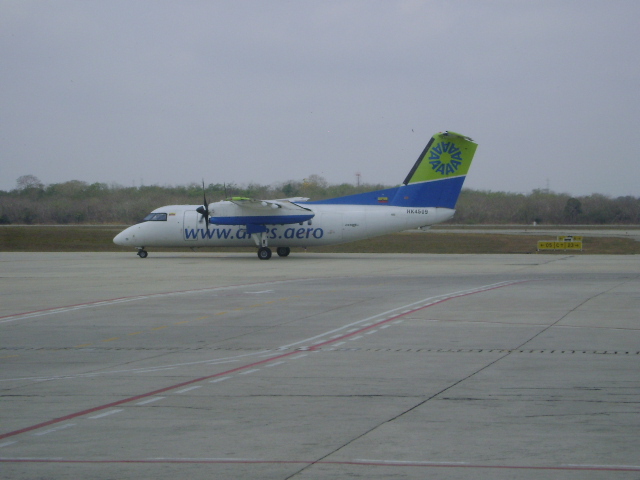 DSC01210.JPG